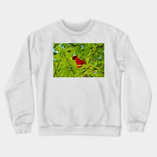 Red Bird In The Middle Crewneck Sweatshirt